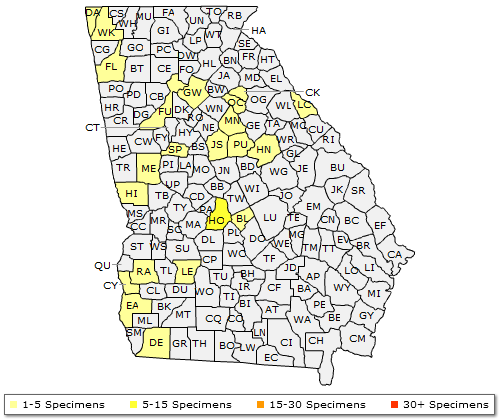 The range of Quercus muehlenbergii